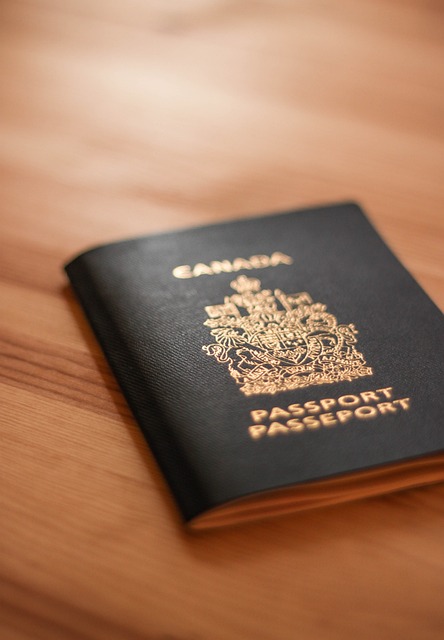 Understanding Canadian Immigration Status: Differences Between Permanent Residence, Citizenship, Visitor, Worker, and Student